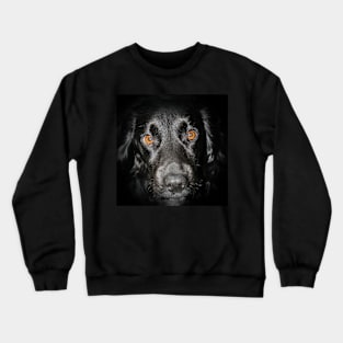 Doggo Crewneck Sweatshirt